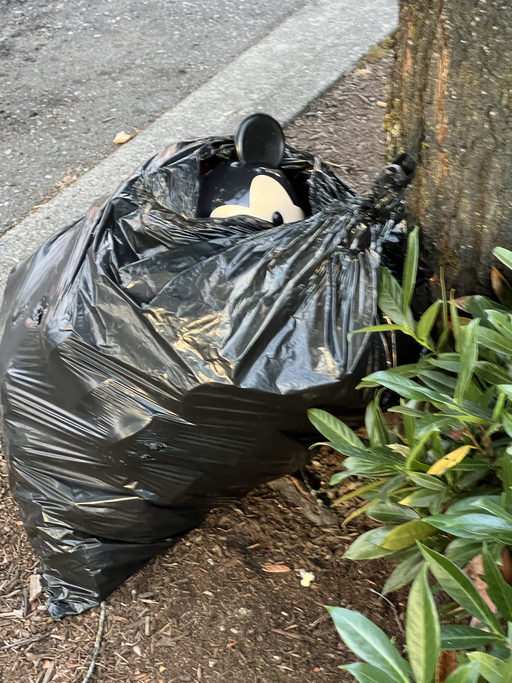 Garbage Bag
